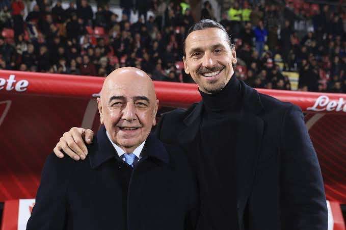 红鸡超级顾 红鸡超级顾