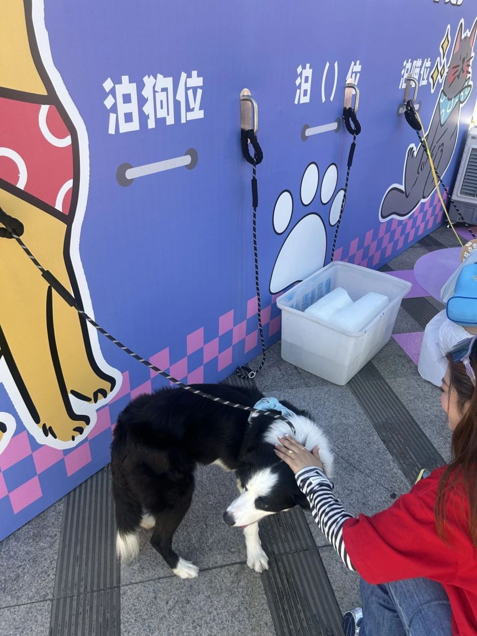 src, 赛前第一视, https