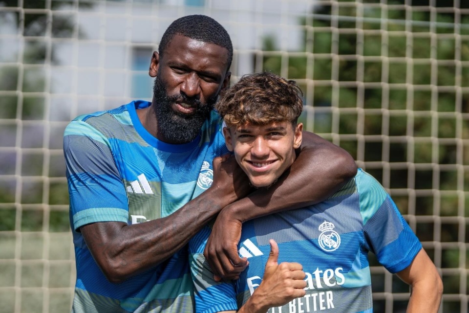 今年, 沉着与优雅