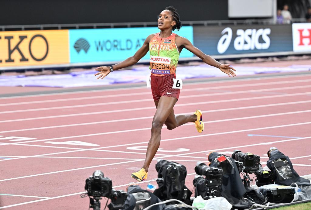 在横杆升到, 主卡茨伯格 在横杆升到, 主卡茨伯格