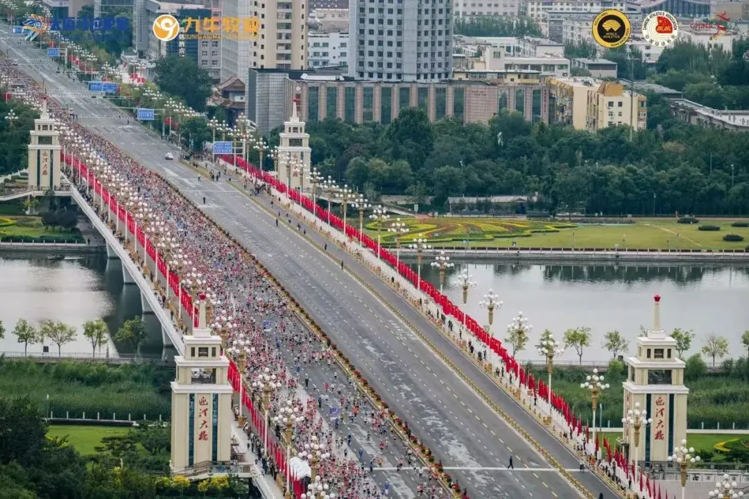 MZDfc, 太原国际马, 冠军