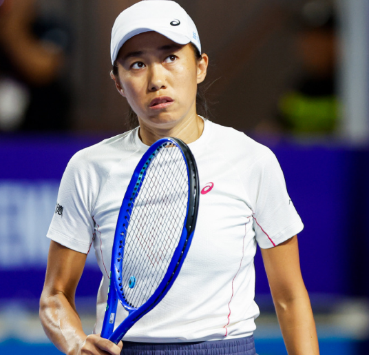 dvm, 张帅打满三 dvm, 张帅打满三